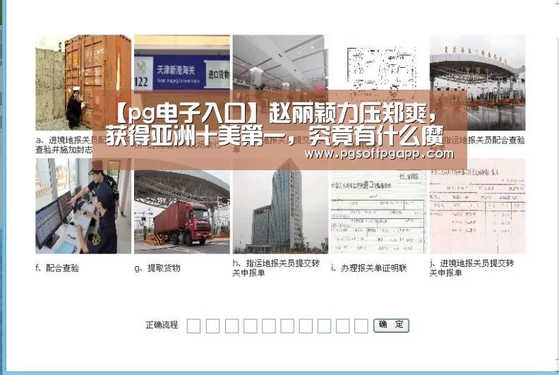 pg电子入口官网