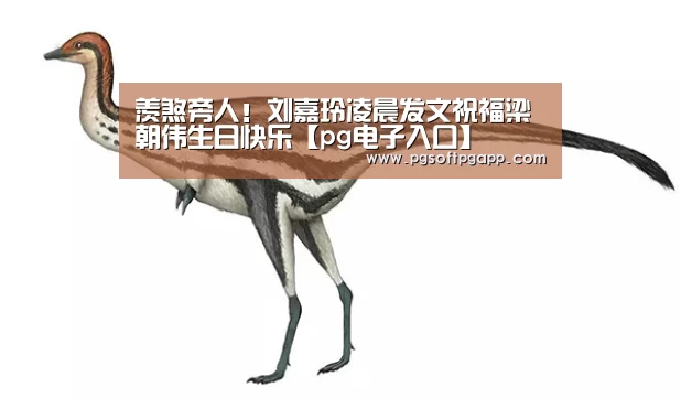 pg电子入口官网