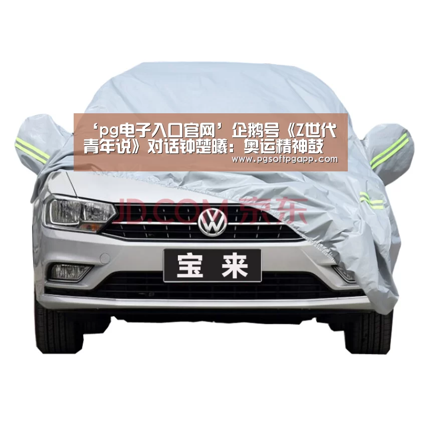 pg电子入口官网