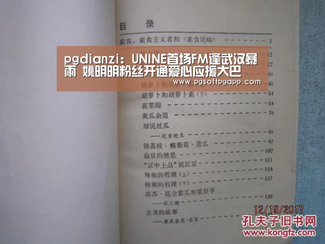 pg电子入口官网