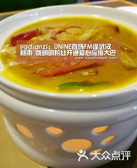 pgdianzi：UNINE首场FM逢武汉暴雨 姚明明粉丝开通爱心应援大巴(图2)